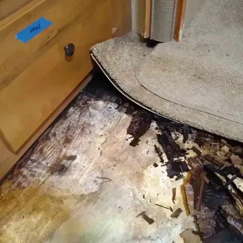 Wood Floor Water Damage in DeKalb County, TN